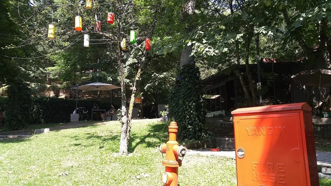 MANDAM Cafe & Bistro - Çankaya, Ankara kahvaltı mekanı